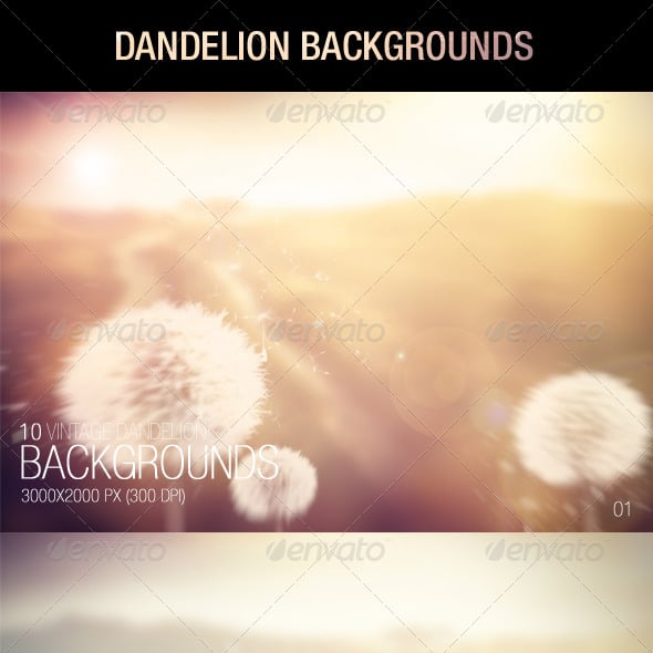 Dandelion Backgrounds
