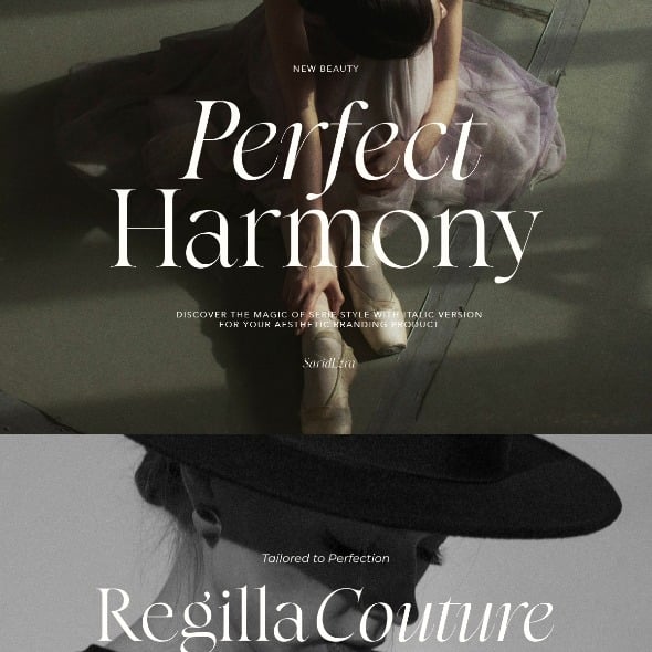 Perfect Harmony - Aesthetic Serif