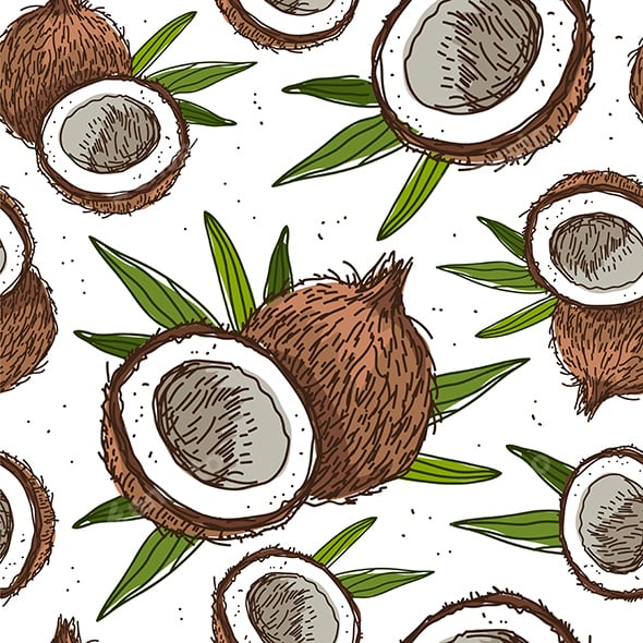 Seamless Vector Pattern of Coconuts on a White Background